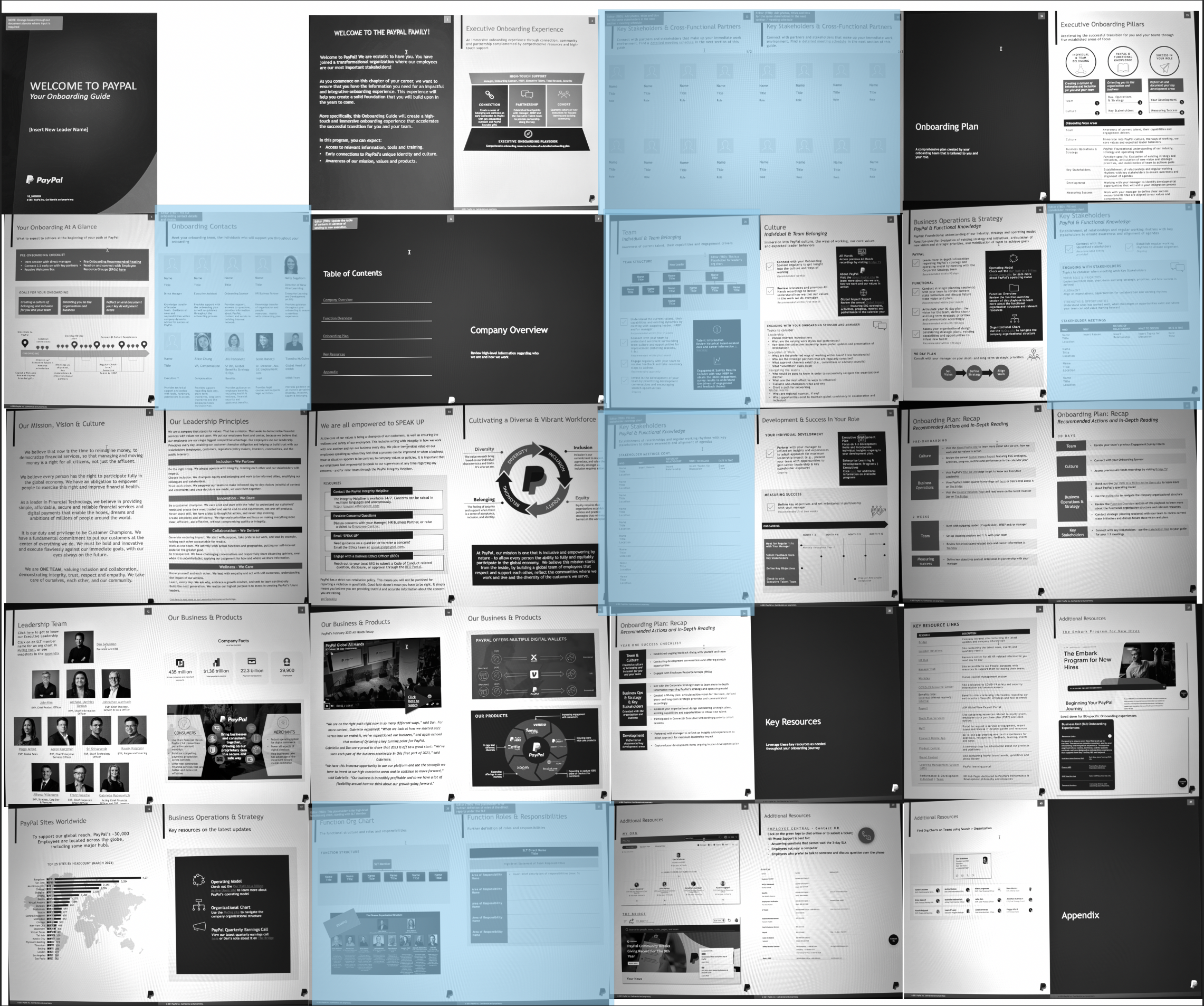 7 dynamic pages identified